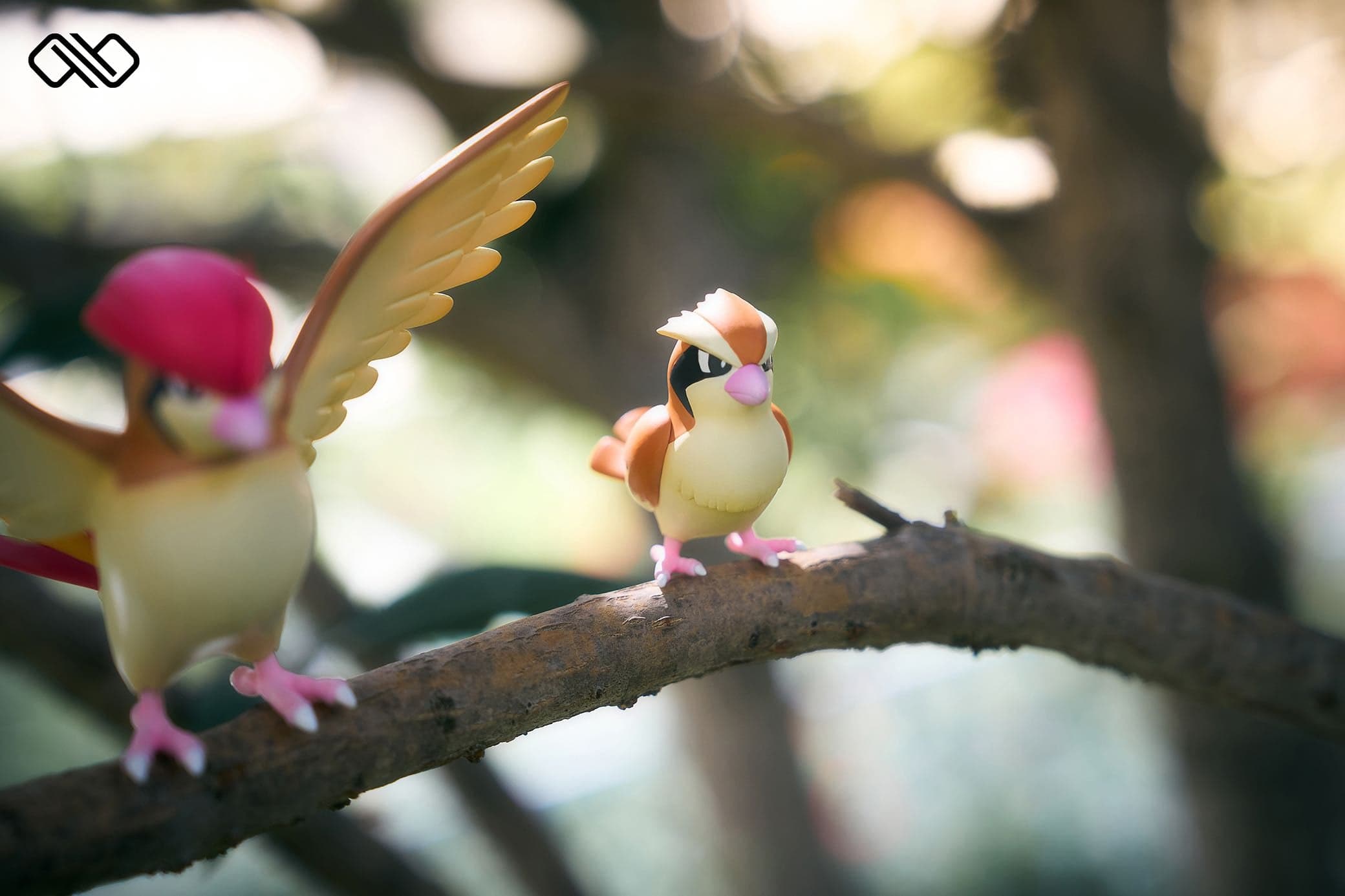 Infinite - Pidgeot - Thumbnail 11