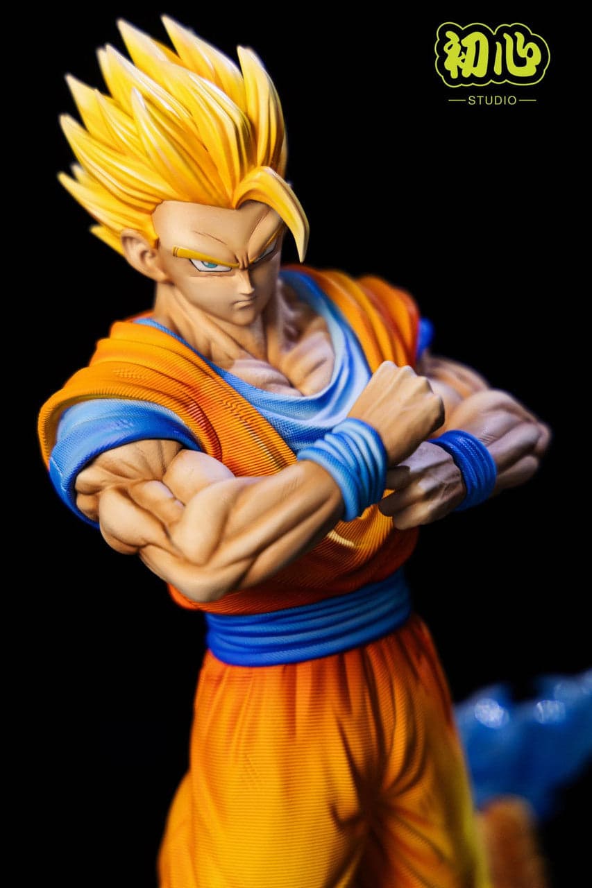 Chuxin - Gohan - Thumbnail 4