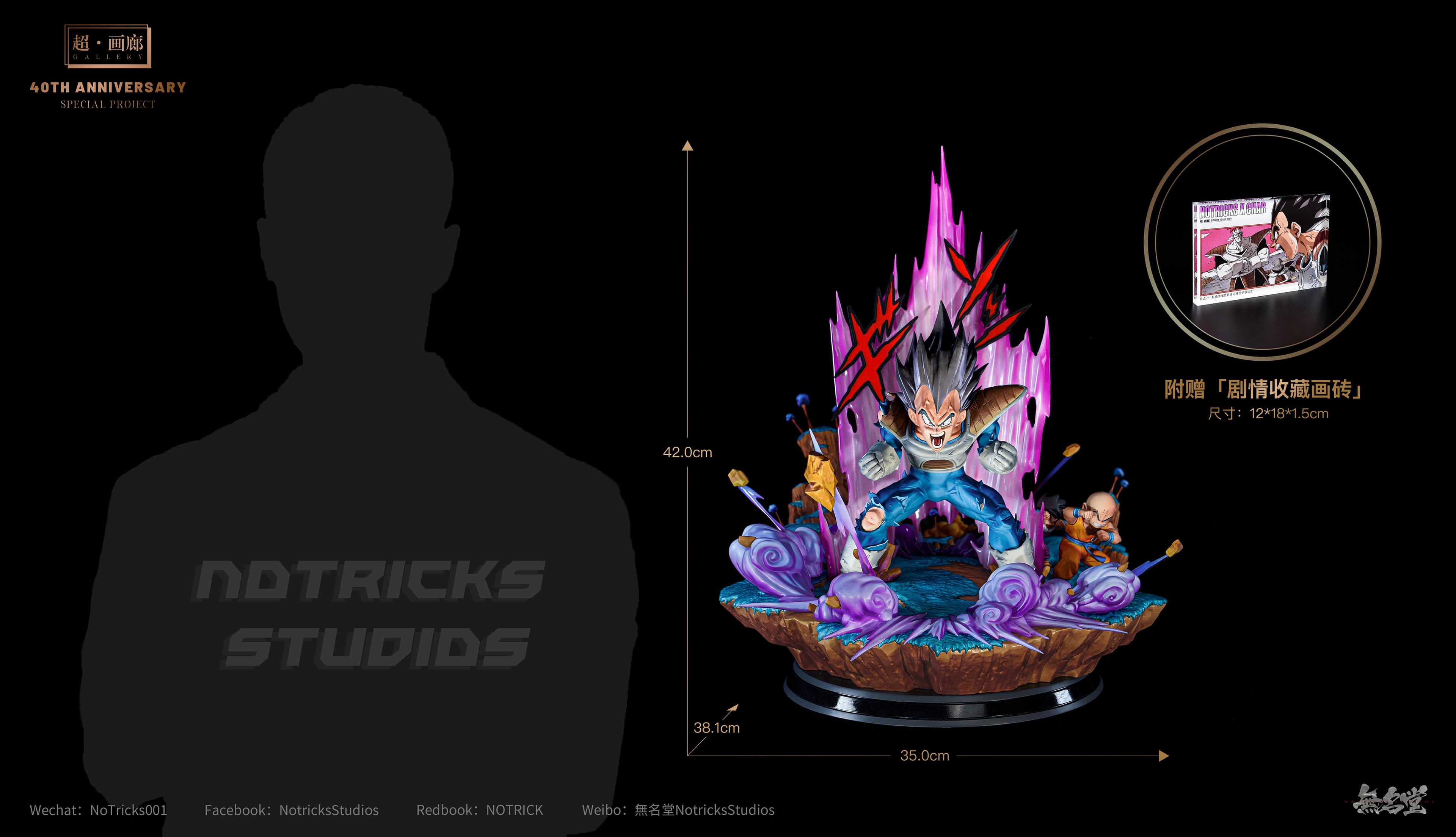 NoTricks - Vegeta - Thumbnail 5