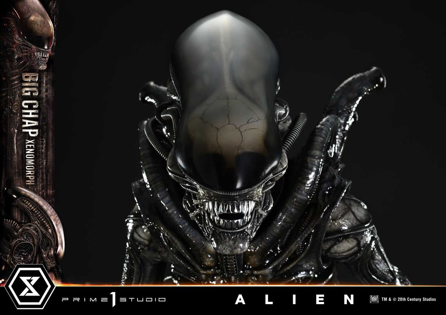 Prime 1 - Big Chap Alien - Thumbnail 12