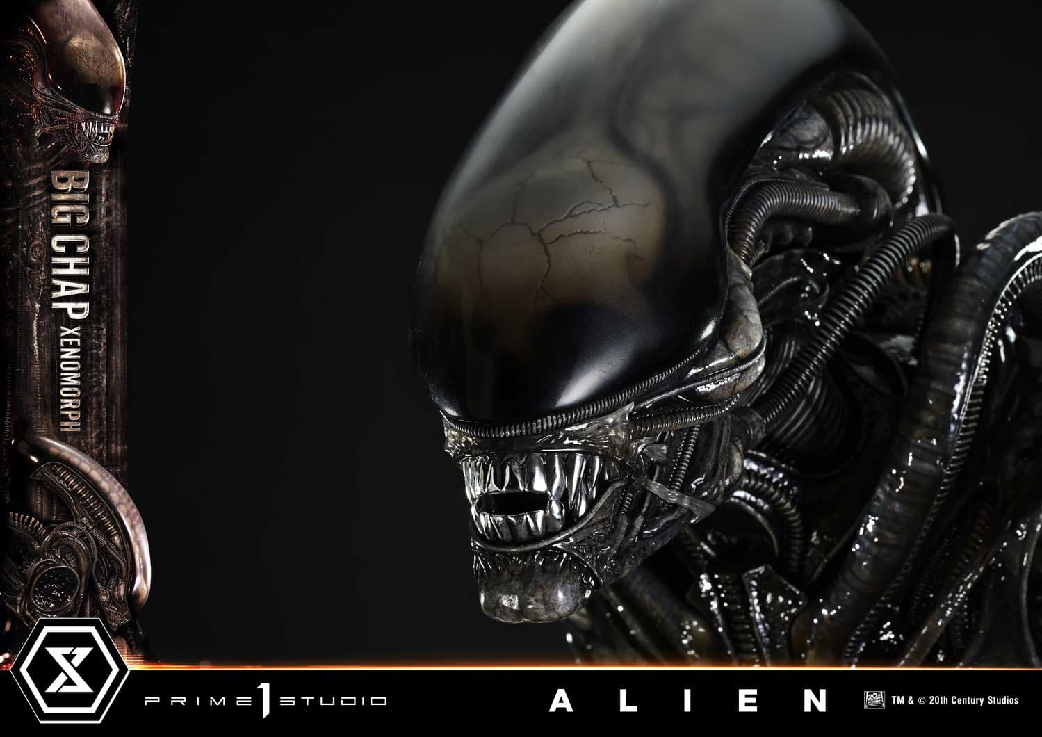 Prime 1 - Big Chap Alien - Thumbnail 14
