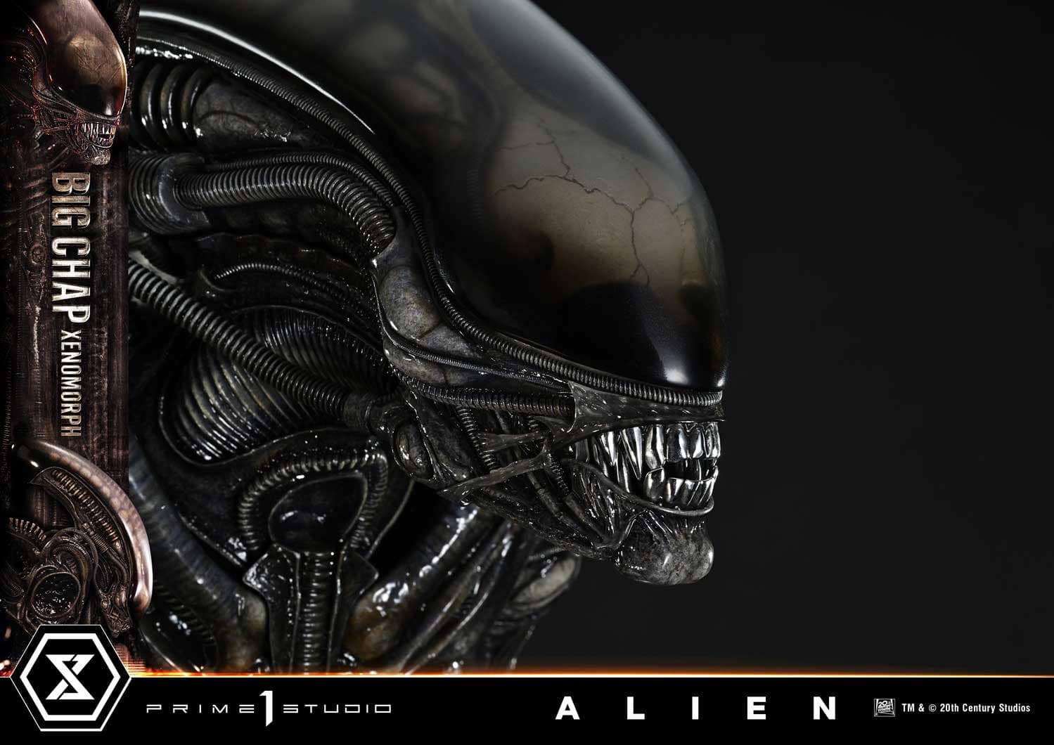 Prime 1 - Big Chap Alien - Thumbnail 16