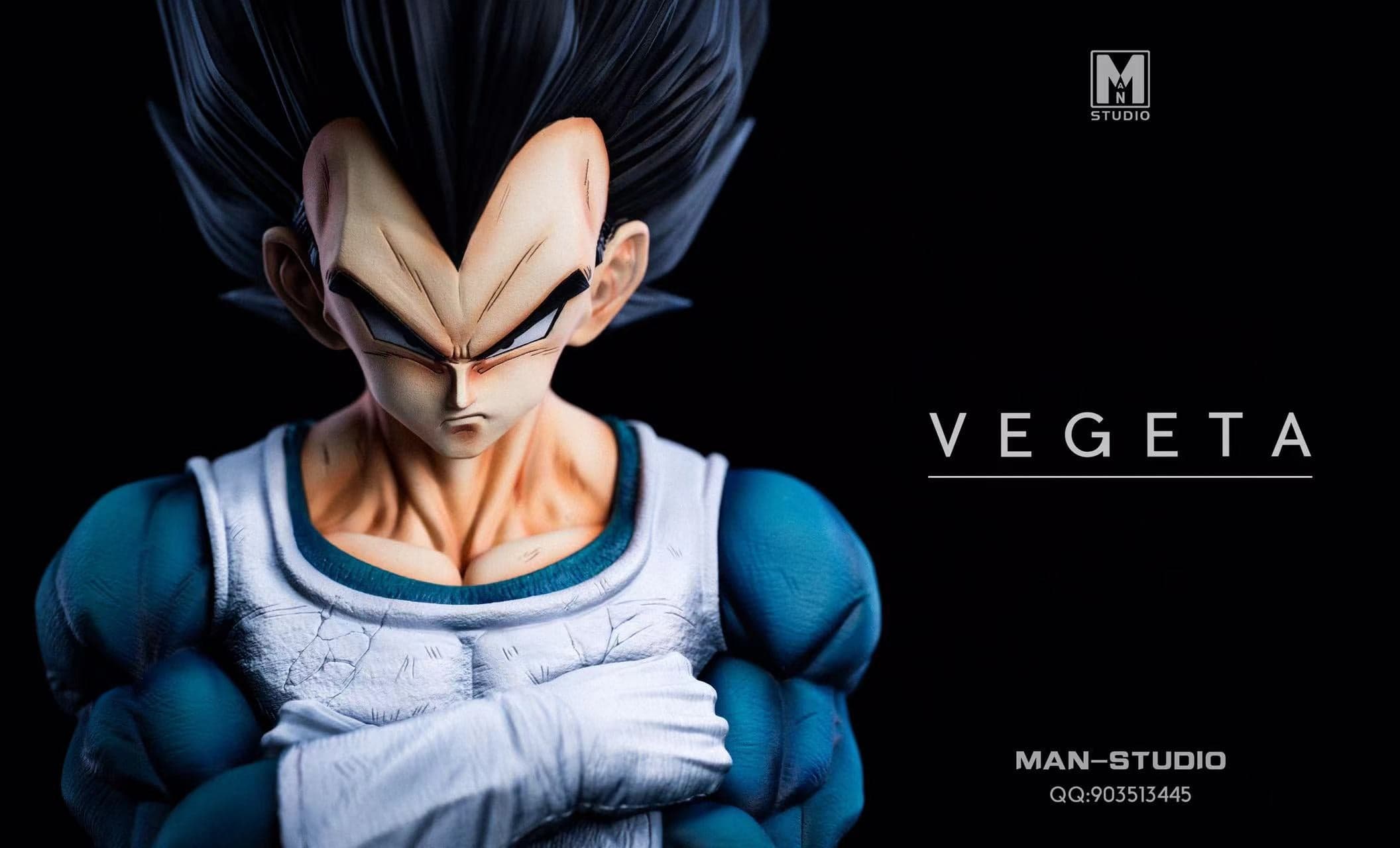 MAN - Vegeta - Thumbnail 8