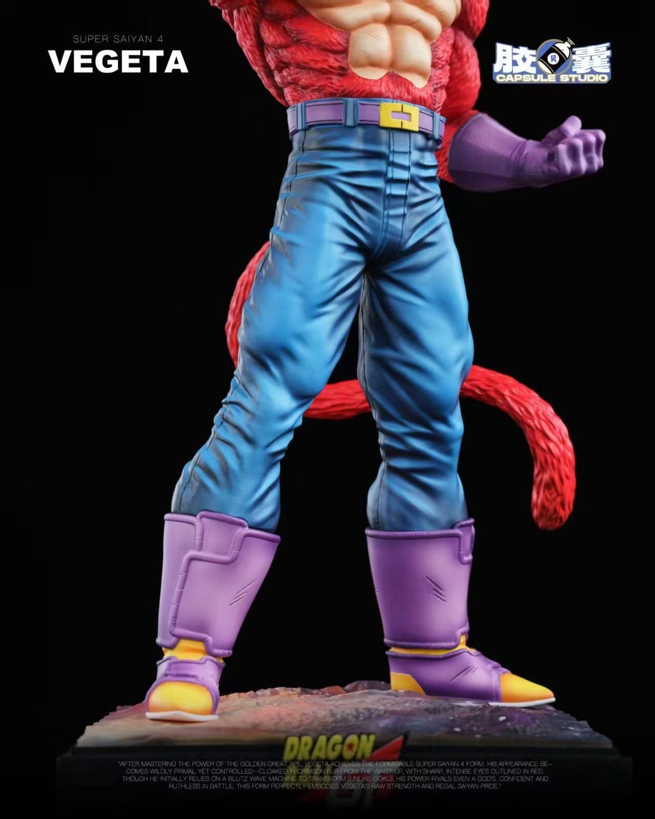 Capsule - SSJ4 Vegeta - Thumbnail 5