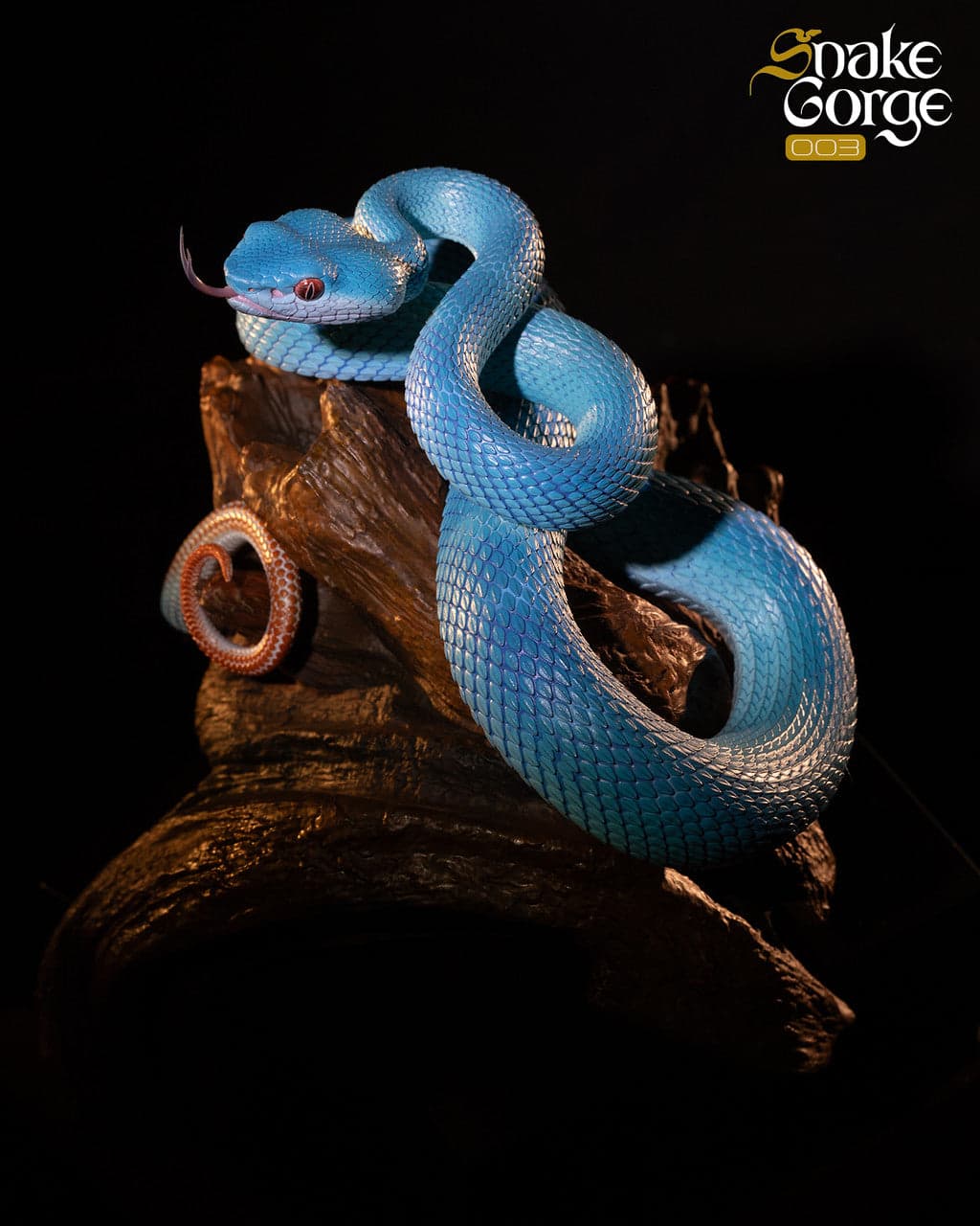 Snake Gorge - Indonesian pit viper - Image 1
