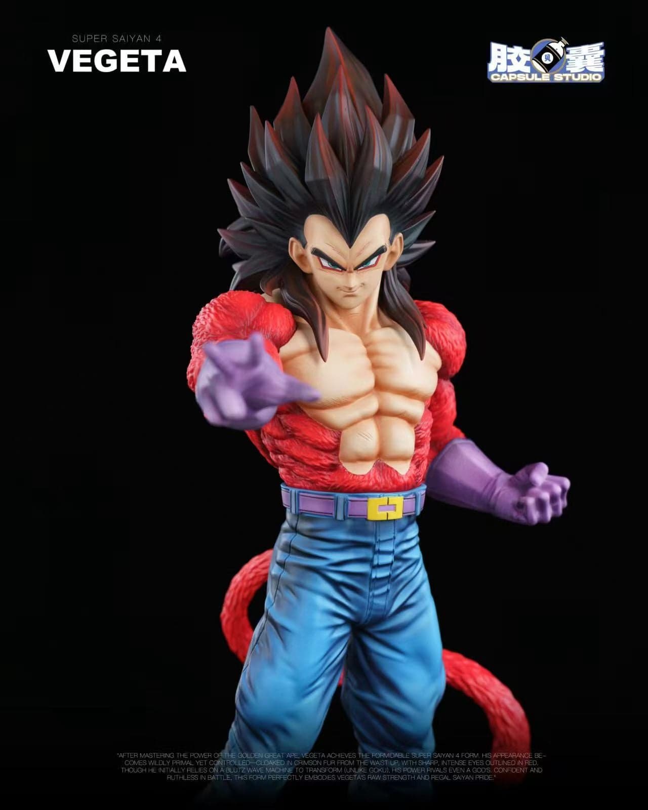 Capsule - SSJ4 Vegeta - Thumbnail 2