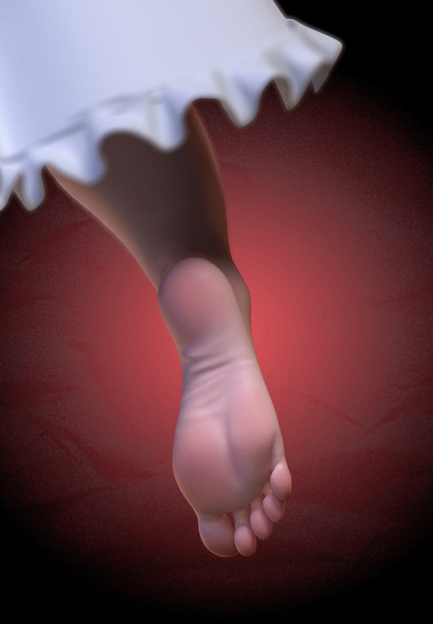 Arctic Wolf - Nahida - Thumbnail 4