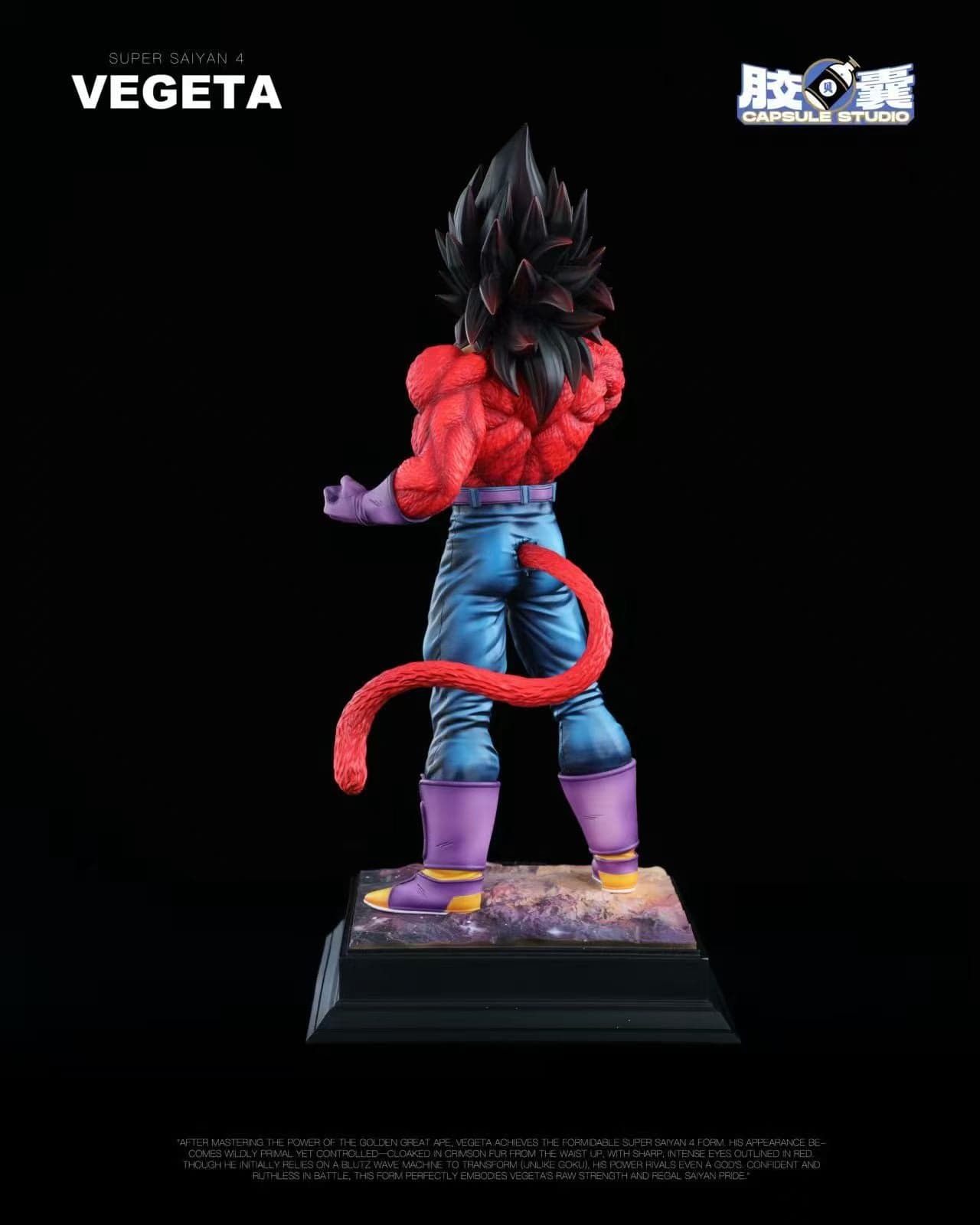 Capsule - SSJ4 Vegeta - Thumbnail 7