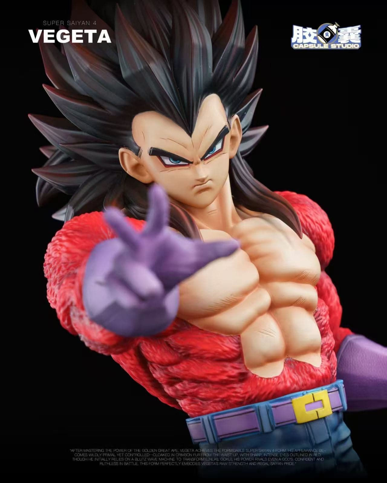 Capsule - SSJ4 Vegeta - Thumbnail 4
