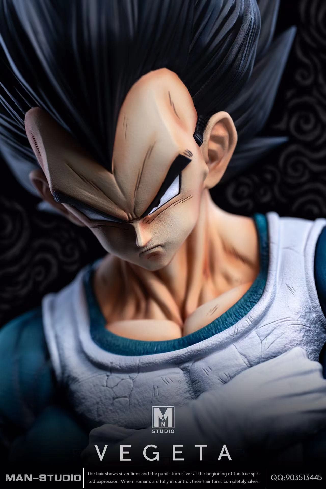 MAN - Vegeta - Thumbnail 4