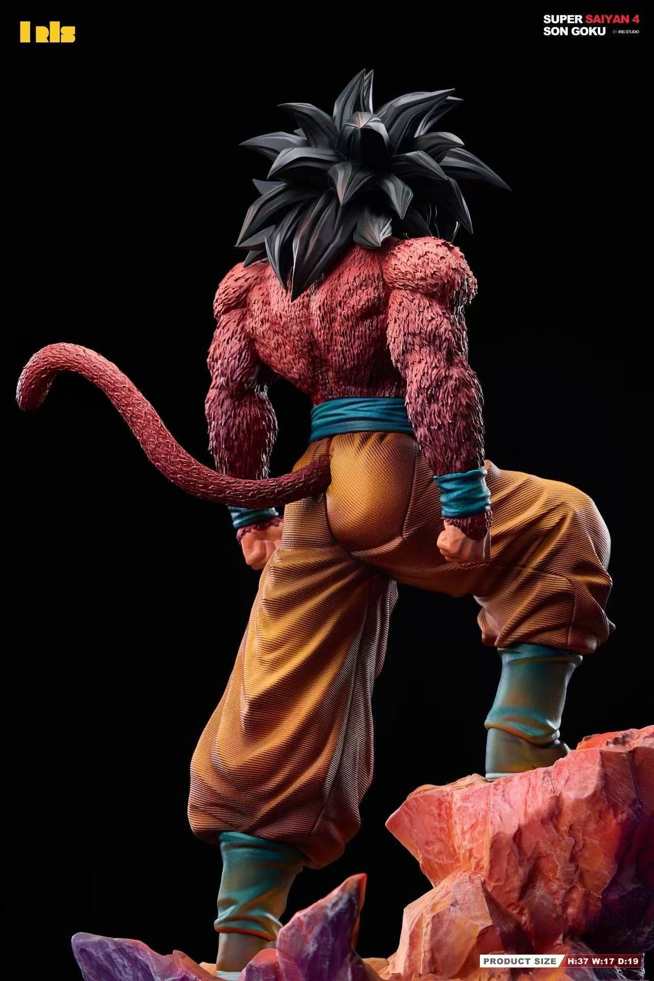 Iris - SSJ4 Goku - Thumbnail 6