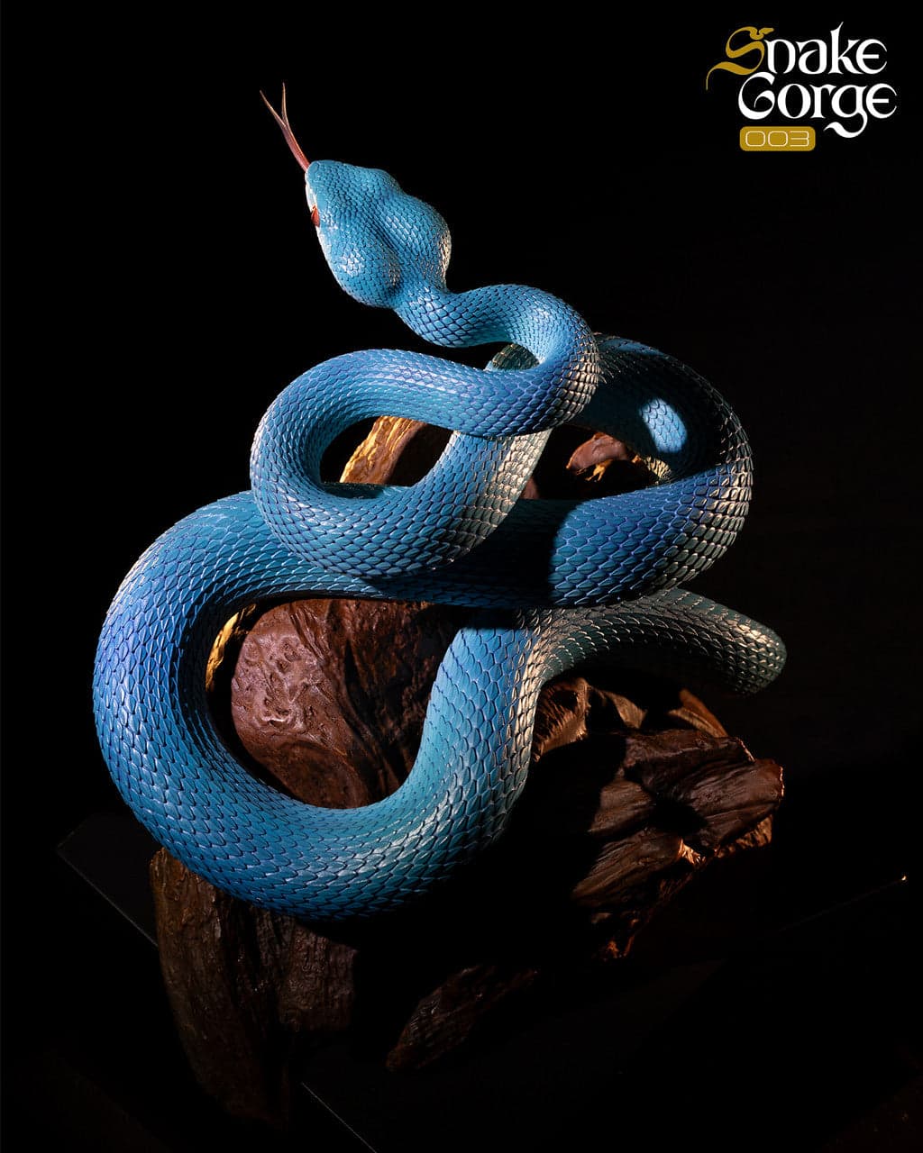 Snake Gorge - Indonesian pit viper - Thumbnail 3