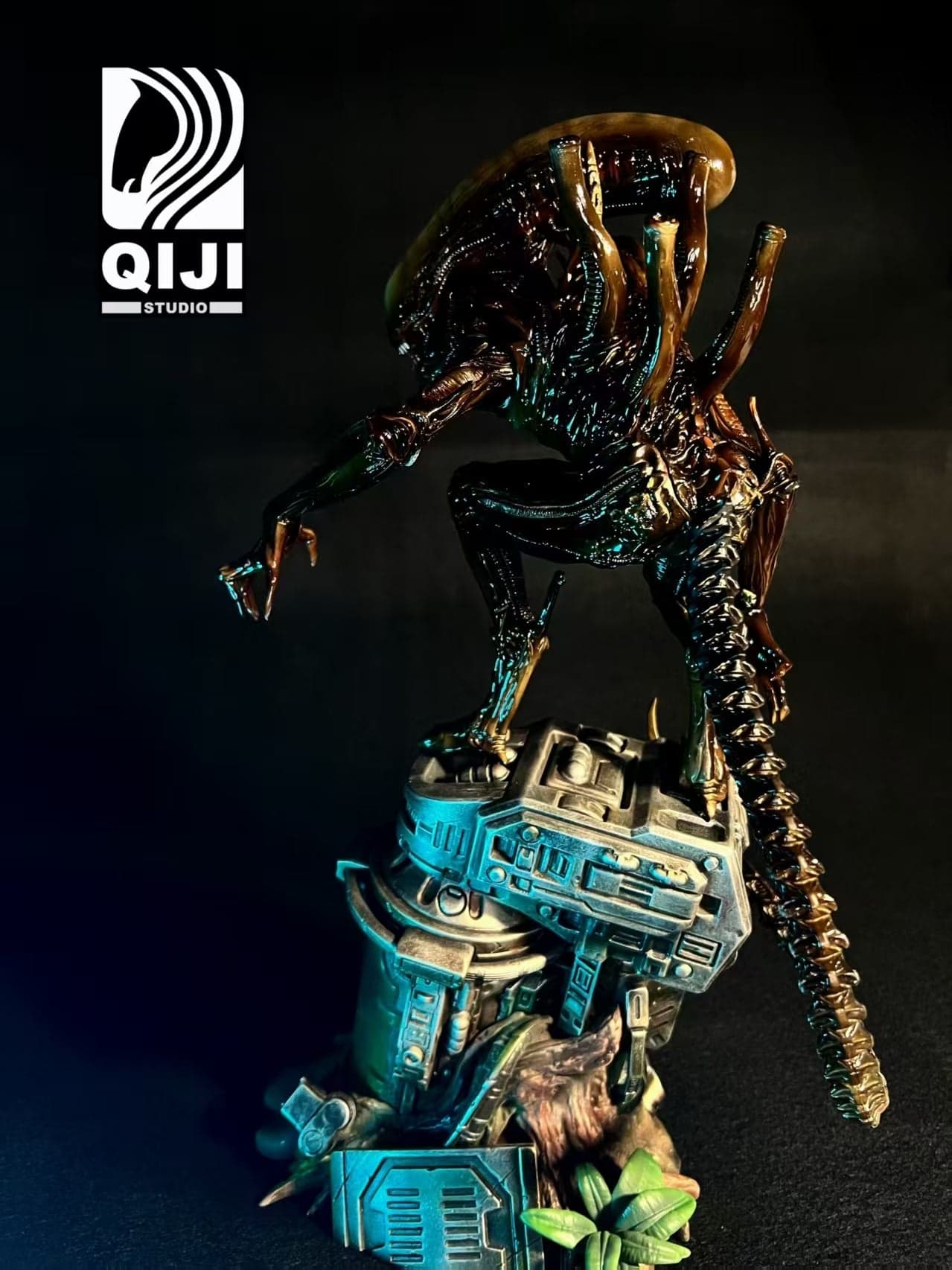 Qiji - Alien - Thumbnail 5