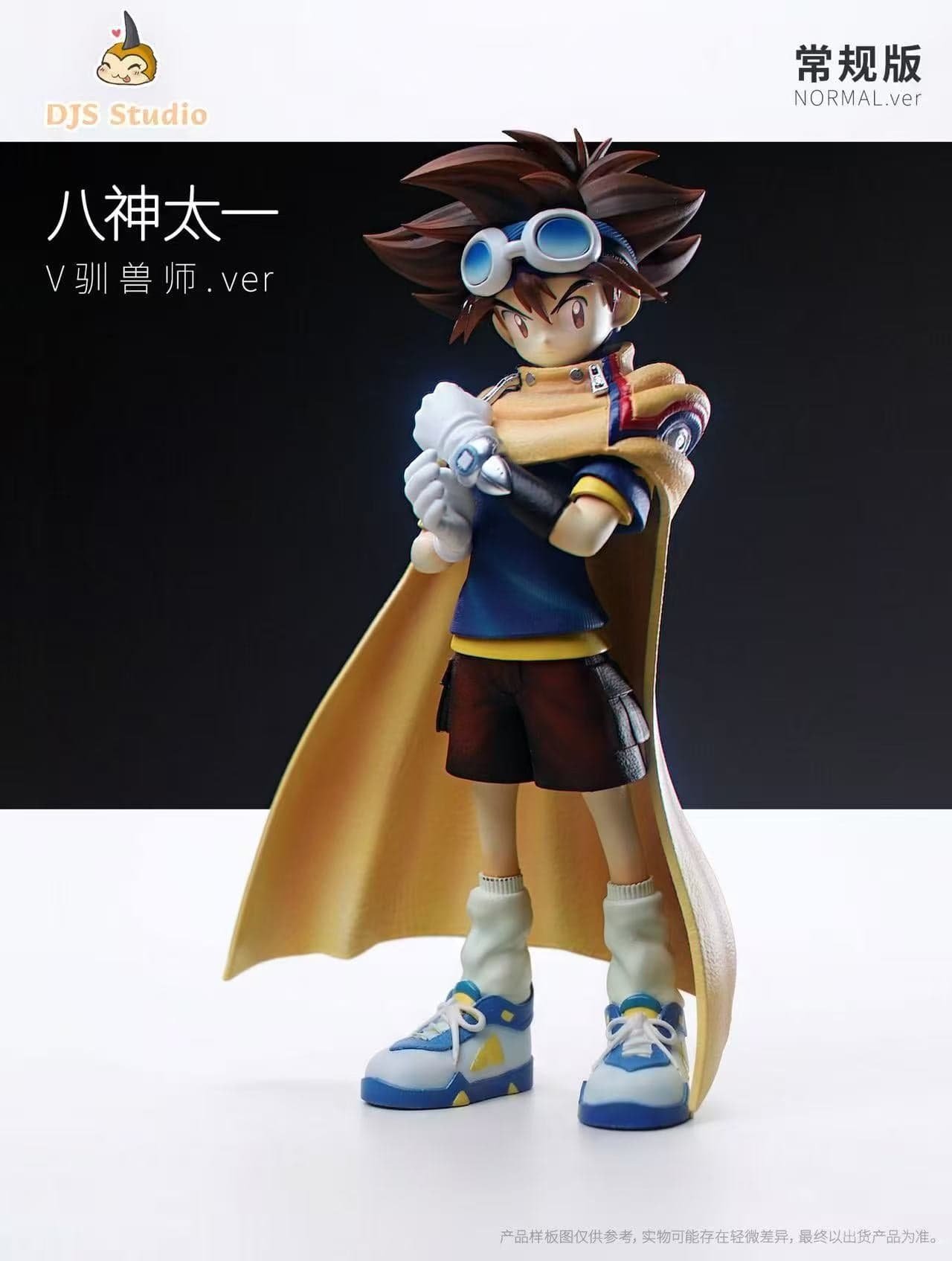 Taichi Yagami