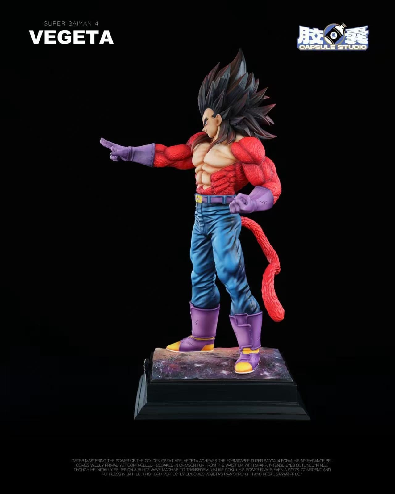Capsule - SSJ4 Vegeta - Thumbnail 6