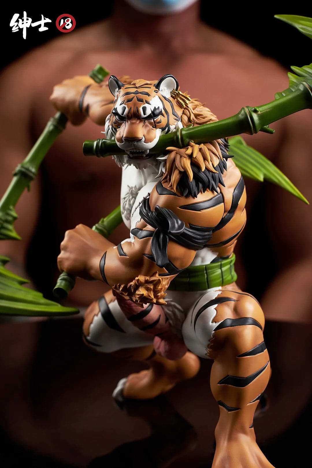 Gentleman 18 - Zoro - Thumbnail 7