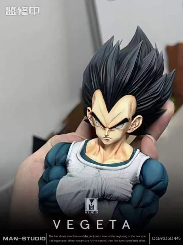 MAN - Vegeta - Thumbnail 11