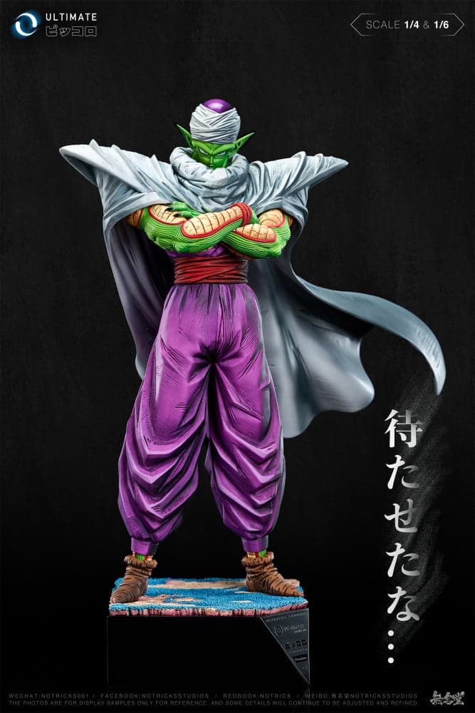 NoTricks - Piccolo - Thumbnail 2
