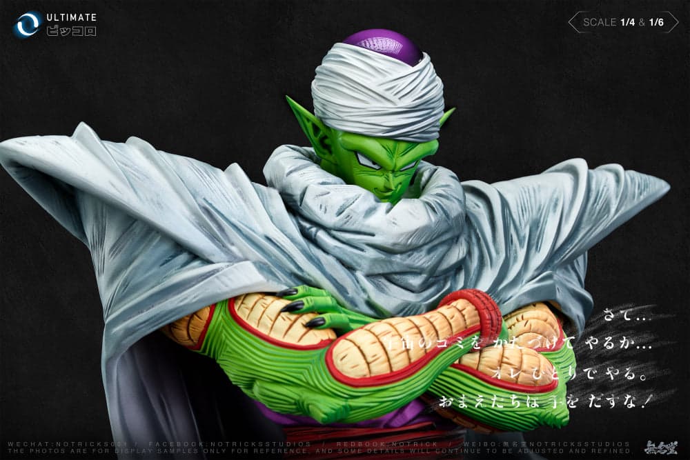 NoTricks - Piccolo - Thumbnail 5