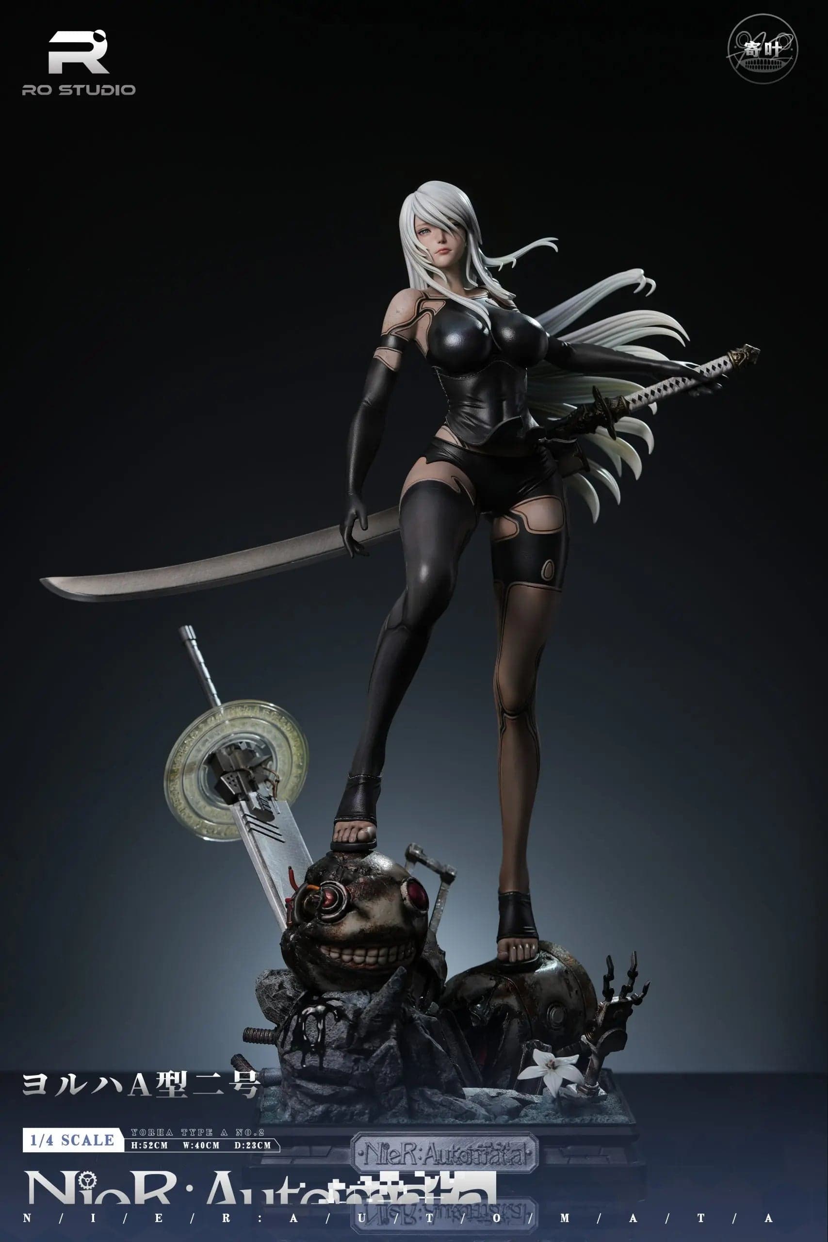 RO - A2 - Image 1