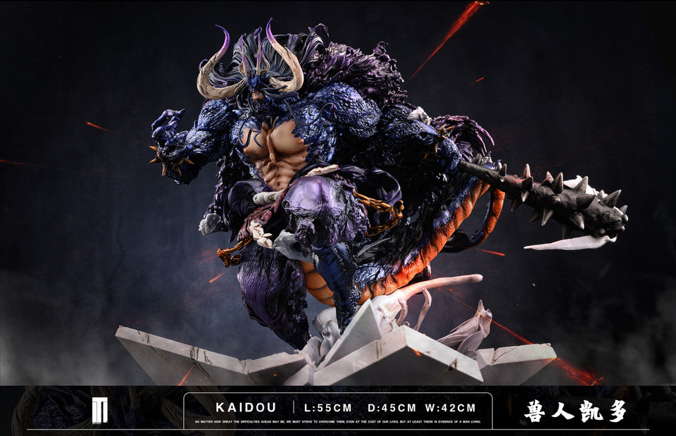 TM - Kaido