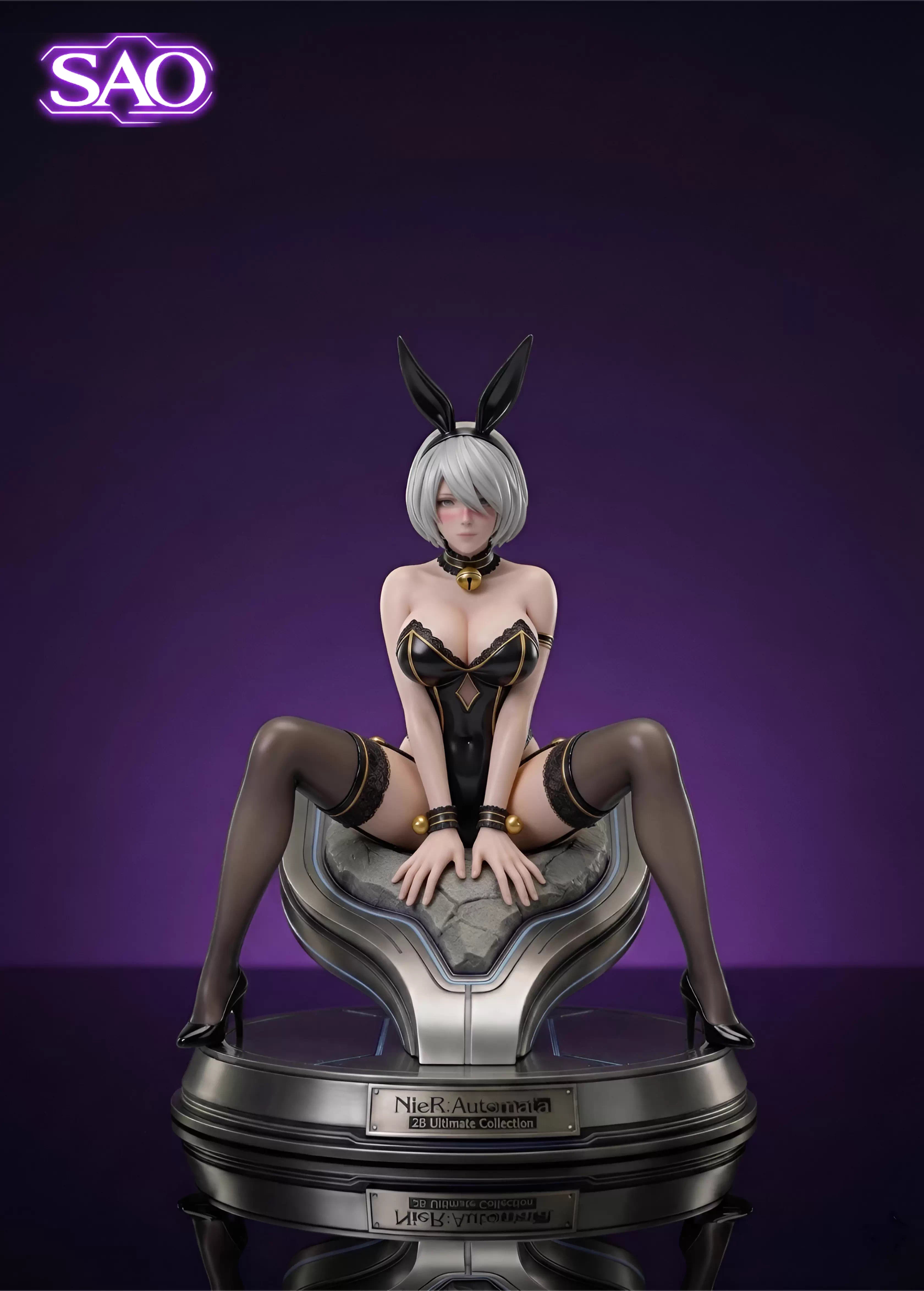 SAO - 2B