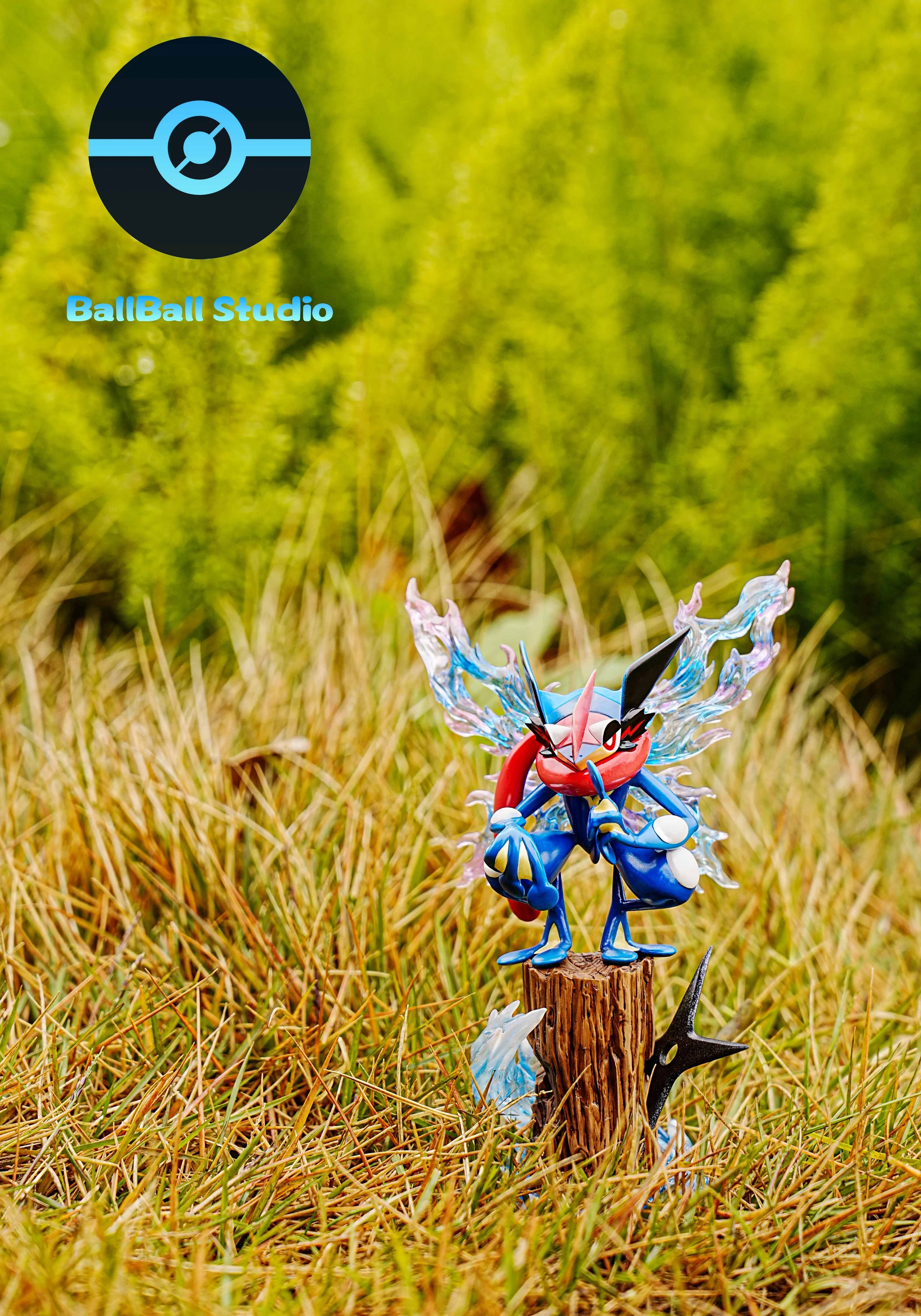 Ball Ball - Greninja