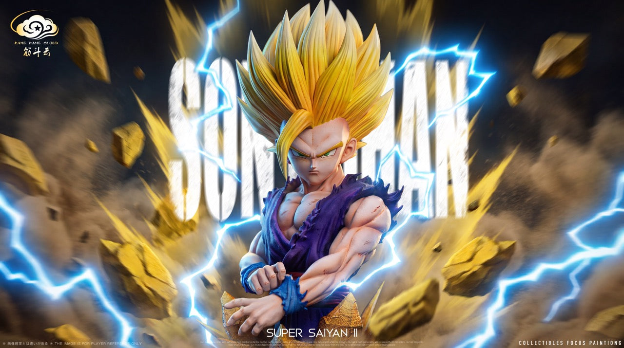 Kame Kame Cloud - SSJ2 Gohan