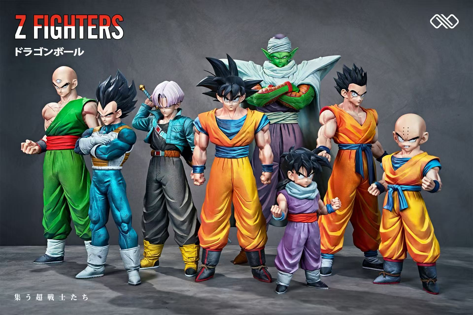 Infinite - Z Fighters