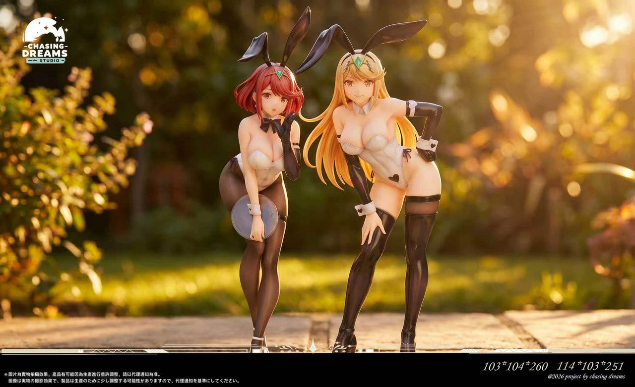 Chasing Dreams - Mythra and Pyra