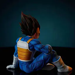 Wink - Vegeta 4