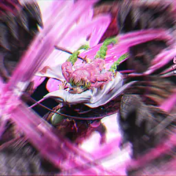 Fantasy - Kanroji 5