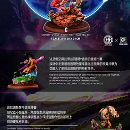 Figure Class - Goku vs Vegeta 9