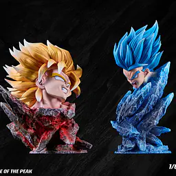 YunQi - Broly vs Gogeta 8