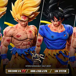 MRC - Goku 5