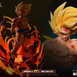 MRC - Goku 10