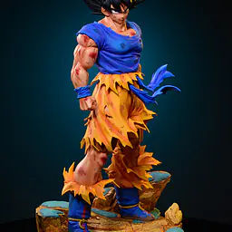 MRC - Goku 17