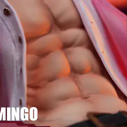 IN x IU - Doflamingo 9