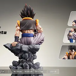 Wink - Gogeta 4