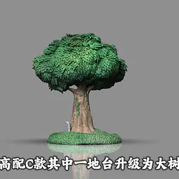 LC - Mikasa 6