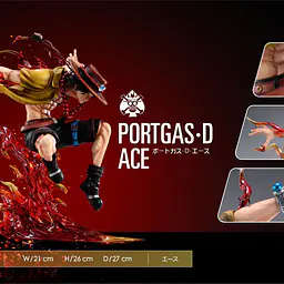 Wink - Ace 3