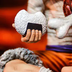 Wings - Luffy 4