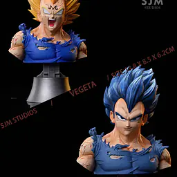 SJM - Vegeta 4