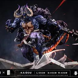 TM - Kaido 5