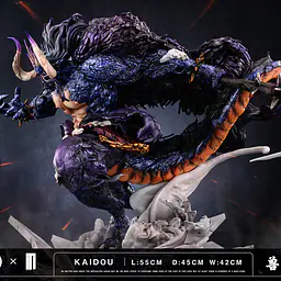 TM - Kaido 6