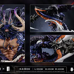 TM - Kaido 9