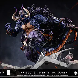 TM - Kaido 8