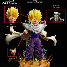 CPR - SSJ Gohan 5