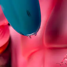Army Ant - Kid Buu 5