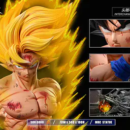 MRC - Goku 4